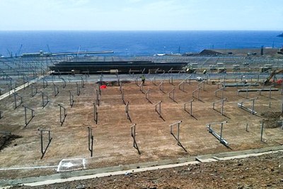 madeira_x-2